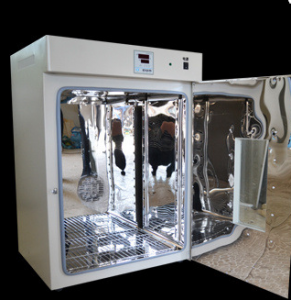 新款台式鼓风干燥箱