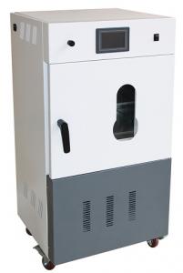 导热油加热真空箱 210L（全自动 ）